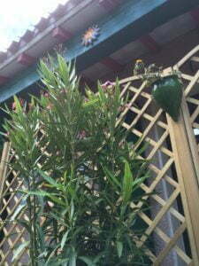 camping Rennes-les-Bains Aude Occitanie