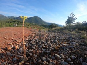 Terres rouges Rennes-les-Bains campsite